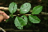  ( - BioBot00444)  @11 [ ] Copyright (2010) Unspecified Unspecified