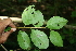  ( - BioBot00444)  @11 [ ] Copyright (2010) Unspecified Unspecified