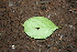  ( - BioBot00444)  @11 [ ] Copyright (2010) Unspecified Unspecified