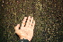  ( - BioBot00476)  @11 [ ] Copyright (2010) Unspecified Unspecified