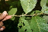  ( - BioBot00476)  @11 [ ] Copyright (2010) Unspecified Unspecified