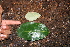  ( - BioBot00476)  @11 [ ] Copyright (2010) Unspecified Unspecified