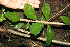 ( - BioBot00477)  @11 [ ] Copyright (2010) Unspecified Unspecified