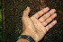  ( - BioBot00477)  @11 [ ] Copyright (2010) Unspecified Unspecified