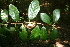  ( - BioBot00477)  @11 [ ] Copyright (2010) Unspecified Unspecified