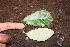  ( - BioBot00477)  @11 [ ] Copyright (2010) Unspecified Unspecified