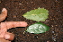  ( - BioBot00477)  @11 [ ] Copyright (2010) Unspecified Unspecified