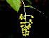  ( - BioBot00539)  @11 [ ] CreativeCommons - Attribution Non-Commercial Share-Alike (2010) Daniel H. Janzen Guanacaste Dry Forest Conservation Fund