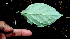  ( - BioBot00564)  @11 [ ] CreativeCommons - Attribution Non-Commercial Share-Alike (2010) Daniel H. Janzen Guanacaste Dry Forest Conservation Fund