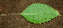  ( - BioBot00620)  @11 [ ] CreativeCommons - Attribution Non-Commercial Share-Alike (2010) Daniel H. Janzen Guanacaste Dry Forest Conservation Fund