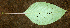  ( - BioBot00620)  @11 [ ] CreativeCommons - Attribution Non-Commercial Share-Alike (2010) Daniel H. Janzen Guanacaste Dry Forest Conservation Fund