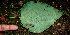  ( - BioBot00649)  @11 [ ] CreativeCommons - Attribution Non-Commercial Share-Alike (2010) Daniel H. Janzen Guanacaste Dry Forest Conservation Fund