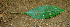  ( - BioBot00654)  @11 [ ] CreativeCommons - Attribution Non-Commercial Share-Alike (2010) Daniel H. Janzen Guanacaste Dry Forest Conservation Fund
