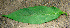  ( - BioBot00657)  @11 [ ] CreativeCommons - Attribution Non-Commercial Share-Alike (2010) Daniel H. Janzen Guanacaste Dry Forest Conservation Fund