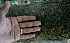  ( - BioBot00673)  @11 [ ] CreativeCommons - Attribution Non-Commercial Share-Alike (2010) Daniel H. Janzen Guanacaste Dry Forest Conservation Fund