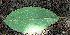  ( - BioBot00714)  @11 [ ] CreativeCommons - Attribution Non-Commercial Share-Alike (2010) Daniel H. Janzen Guanacaste Dry Forest Conservation Fund