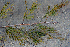 ( - BioBot00756)  @11 [ ] CreativeCommons - Attribution Non-Commercial Share-Alike (2010) Daniel H. Janzen Guanacaste Dry Forest Conservation Fund