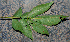  ( - BioBot00769)  @11 [ ] CreativeCommons - Attribution Non-Commercial Share-Alike (2010) Daniel H. Janzen Guanacaste Dry Forest Conservation Fund