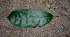  ( - BioBot00782)  @11 [ ] CreativeCommons - Attribution Non-Commercial Share-Alike (2010) Daniel H. Janzen Guanacaste Dry Forest Conservation Fund
