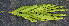  ( - BioBot00787)  @11 [ ] CreativeCommons - Attribution Non-Commercial Share-Alike (2010) Daniel H. Janzen Guanacaste Dry Forest Conservation Fund