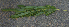  ( - BioBot00794)  @11 [ ] CreativeCommons - Attribution Non-Commercial Share-Alike (2010) Daniel H. Janzen Guanacaste Dry Forest Conservation Fund