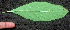  ( - BioBot00961)  @11 [ ] CreativeCommons - Attribution Non-Commercial Share-Alike (2010) Daniel H. Janzen Guanacaste Dry Forest Conservation Fund