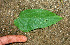  ( - BioBot01082)  @11 [ ] CreativeCommons - Attribution Non-Commercial Share-Alike (2010) Daniel H. Janzen Guanacaste Dry Forest Conservation Fund
