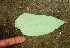  ( - BioBot01082)  @11 [ ] CreativeCommons - Attribution Non-Commercial Share-Alike (2010) Daniel H. Janzen Guanacaste Dry Forest Conservation Fund
