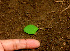  ( - BioBot01114)  @11 [ ] CreativeCommons - Attribution Non-Commercial Share-Alike (2010) Daniel H. Janzen Guanacaste Dry Forest Conservation Fund