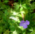  ( - BioBot01120)  @11 [ ] CreativeCommons - Attribution Non-Commercial Share-Alike (2010) Daniel H. Janzen Guanacaste Dry Forest Conservation Fund