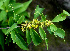  ( - BioBot01122)  @11 [ ] CreativeCommons - Attribution Non-Commercial Share-Alike (2010) Daniel H. Janzen Guanacaste Dry Forest Conservation Fund