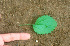  ( - BioBot01130)  @11 [ ] CreativeCommons - Attribution Non-Commercial Share-Alike (2010) Daniel H. Janzen Guanacaste Dry Forest Conservation Fund