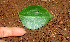  ( - BioBot01167)  @11 [ ] CreativeCommons - Attribution Non-Commercial Share-Alike (2010) Daniel H. Janzen Guanacaste Dry Forest Conservation Fund