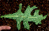  ( - BioBot01194)  @11 [ ] CreativeCommons - Attribution Non-Commercial Share-Alike (2010) Daniel H. Janzen Guanacaste Dry Forest Conservation Fund