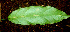  ( - BioBot01211)  @11 [ ] CreativeCommons - Attribution Non-Commercial Share-Alike (2010) Daniel H. Janzen Guanacaste Dry Forest Conservation Fund