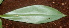  ( - BioBot01249)  @11 [ ] CreativeCommons - Attribution Non-Commercial Share-Alike (2010) Daniel H. Janzen Guanacaste Dry Forest Conservation Fund