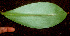  ( - BioBot01250)  @11 [ ] CreativeCommons - Attribution Non-Commercial Share-Alike (2010) Daniel H. Janzen Guanacaste Dry Forest Conservation Fund