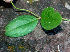  ( - BioBot01254)  @11 [ ] CreativeCommons - Attribution Non-Commercial Share-Alike (2010) Daniel H. Janzen Guanacaste Dry Forest Conservation Fund