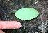  ( - BioBot01254)  @11 [ ] CreativeCommons - Attribution Non-Commercial Share-Alike (2010) Daniel H. Janzen Guanacaste Dry Forest Conservation Fund