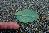  ( - BioBot01255)  @11 [ ] CreativeCommons - Attribution Non-Commercial Share-Alike (2010) Daniel H. Janzen Guanacaste Dry Forest Conservation Fund