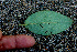  ( - BioBot01256)  @11 [ ] CreativeCommons - Attribution Non-Commercial Share-Alike (2010) Daniel H. Janzen Guanacaste Dry Forest Conservation Fund