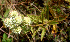  ( - BioBot01276)  @11 [ ] CreativeCommons - Attribution Non-Commercial Share-Alike (2010) Daniel H. Janzen Guanacaste Dry Forest Conservation Fund