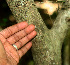  ( - BioBot01289)  @11 [ ] CreativeCommons - Attribution Non-Commercial Share-Alike (2010) Daniel H. Janzen Guanacaste Dry Forest Conservation Fund