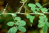  ( - BioBot01306)  @11 [ ] CreativeCommons - Attribution Non-Commercial Share-Alike (2010) Daniel H. Janzen Guanacaste Dry Forest Conservation Fund