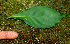  ( - BioBot01356)  @11 [ ] CreativeCommons - Attribution Non-Commercial Share-Alike (2010) Daniel H. Janzen Guanacaste Dry Forest Conservation Fund