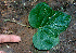  ( - BioBot01369)  @11 [ ] CreativeCommons - Attribution Non-Commercial Share-Alike (2010) Daniel H. Janzen Guanacaste Dry Forest Conservation Fund