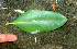  ( - BioBot01389)  @12 [ ] CreativeCommons - Attribution Non-Commercial Share-Alike (2010) Daniel H. Janzen Guanacaste Dry Forest Conservation Fund