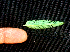  ( - BioBot01392)  @11 [ ] CreativeCommons - Attribution Non-Commercial Share-Alike (2010) Daniel H. Janzen Guanacaste Dry Forest Conservation Fund