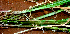  ( - BioBot01403)  @11 [ ] CreativeCommons - Attribution Non-Commercial Share-Alike (2010) Daniel H. Janzen Guanacaste Dry Forest Conservation Fund