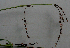  ( - BioBot01404)  @11 [ ] CreativeCommons - Attribution Non-Commercial Share-Alike (2010) Daniel H. Janzen Guanacaste Dry Forest Conservation Fund